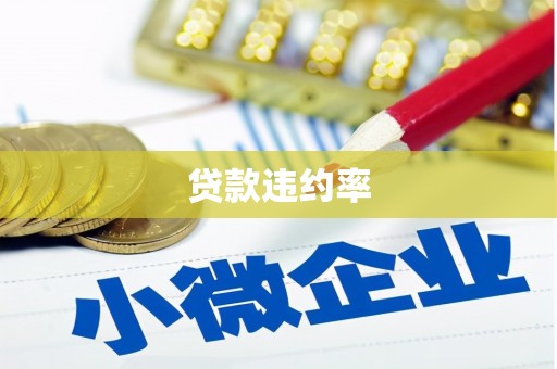 天长贷款违约率