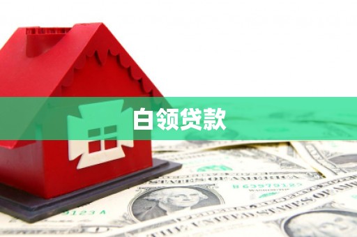 天长白领贷款