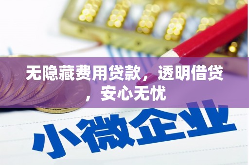 天长无隐藏费用贷款，透明借贷，安心无忧