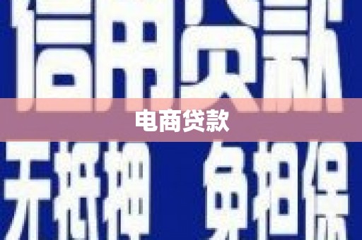 天长电商贷款