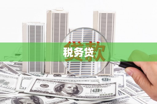 天长税务贷