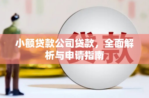 天长小额贷款公司贷款，全面解析与申请指南