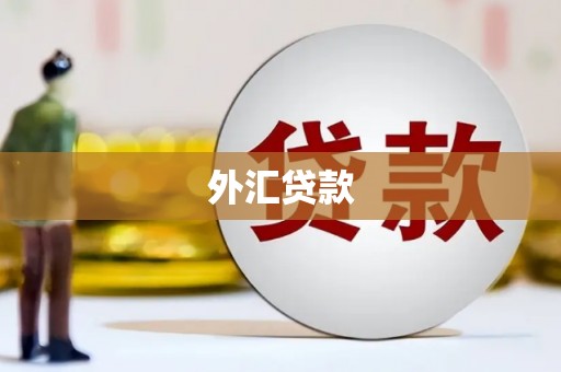 天长外汇贷款