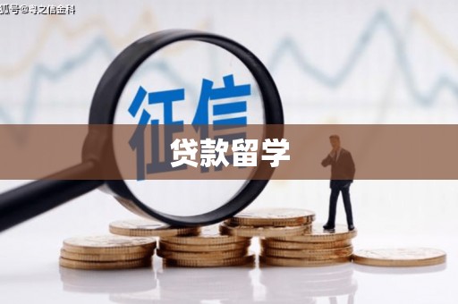 天长贷款留学