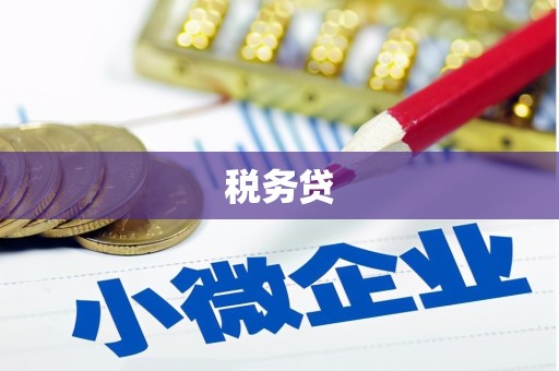 天长税务贷