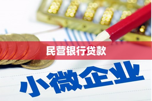 天长民营银行贷款