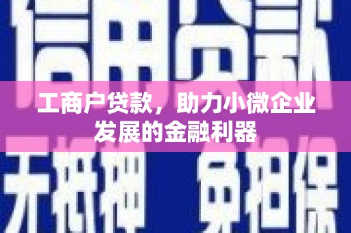 天长工商户贷款，助力小微企业发展的金融利器