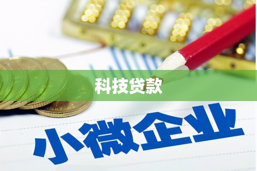 天长科技贷款