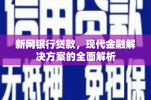 天长新网银行贷款，现代金融解决方案的全面解析