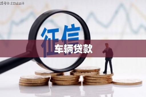天长车辆贷款