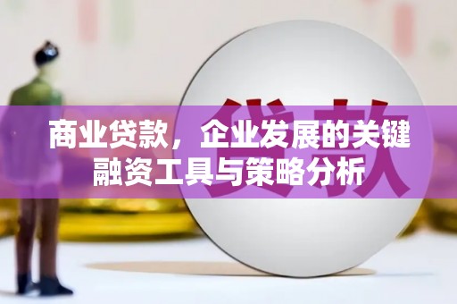 天长商业贷款，企业发展的关键融资工具与策略分析