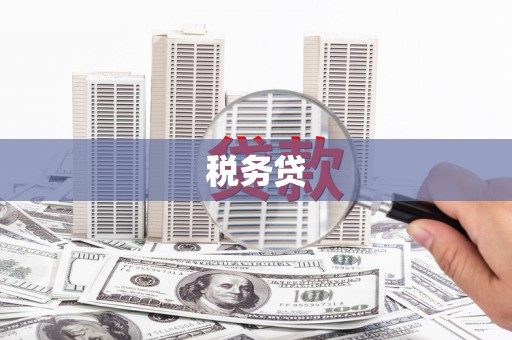 天长税务贷
