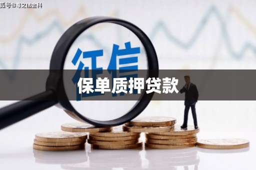 天长保单质押贷款