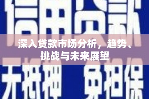 天长深入贷款市场分析，趋势、挑战与未来展望