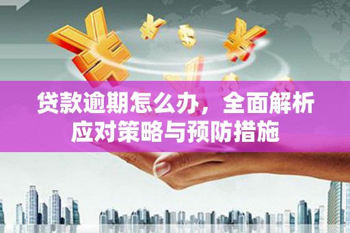 天长贷款逾期怎么办，全面解析应对策略与预防措施