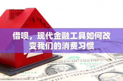 天长借呗，现代金融工具如何改变我们的消费习惯