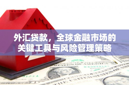 天长外汇贷款，全球金融市场的关键工具与风险管理策略