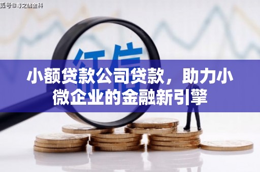 天长小额贷款公司贷款，助力小微企业的金融新引擎