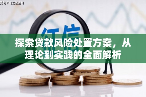 天长探索贷款风险处置方案，从理论到实践的全面解析