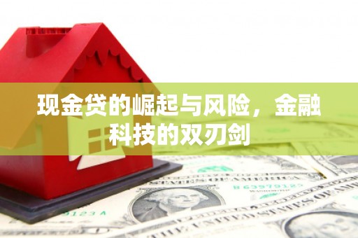 天长现金贷的崛起与风险，金融科技的双刃剑