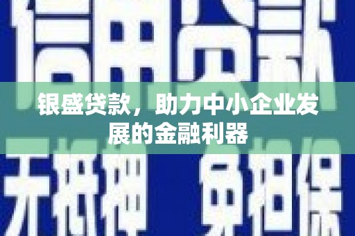 天长银盛贷款，助力中小企业发展的金融利器