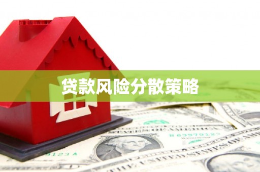 天长贷款风险分散策略