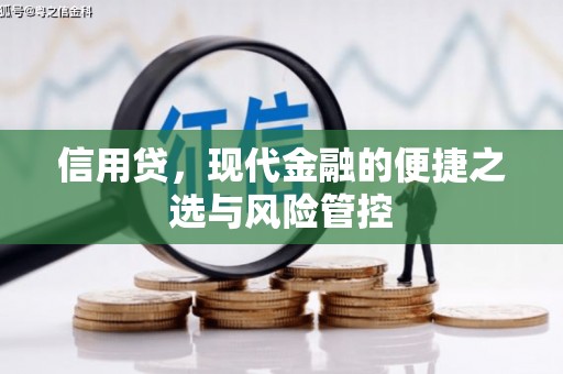 天长信用贷，现代金融的便捷之选与风险管控