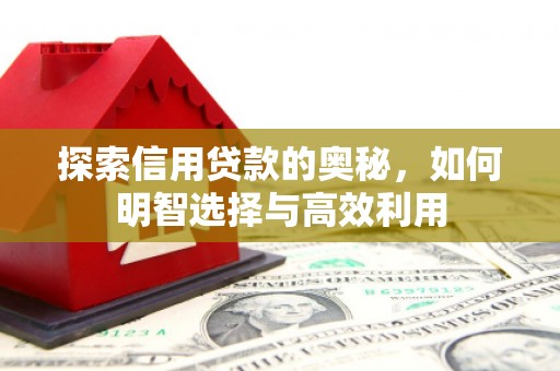 天长探索信用贷款的奥秘，如何明智选择与高效利用