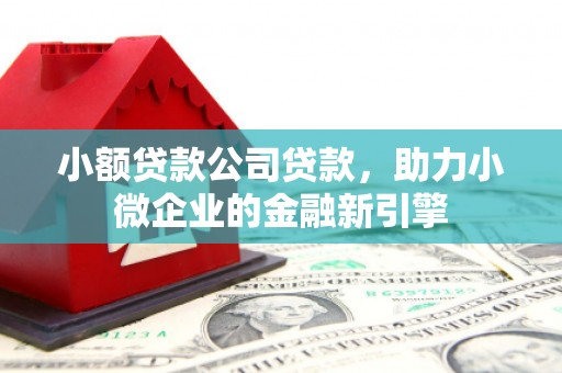 天长小额贷款公司贷款，助力小微企业的金融新引擎