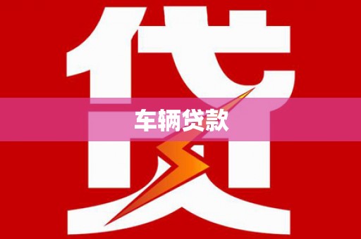 天长车辆贷款