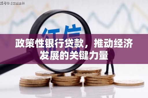 天长政策性银行贷款，推动经济发展的关键力量