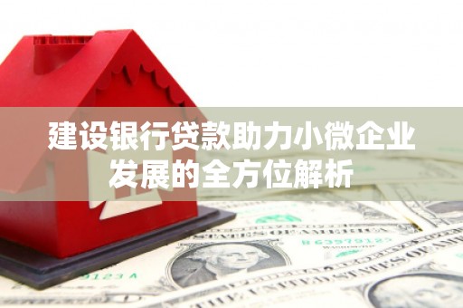 天长建设银行贷款助力小微企业发展的全方位解析
