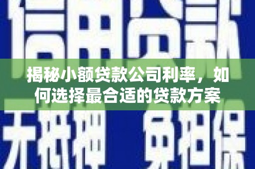 天长揭秘小额贷款公司利率，如何选择最合适的贷款方案