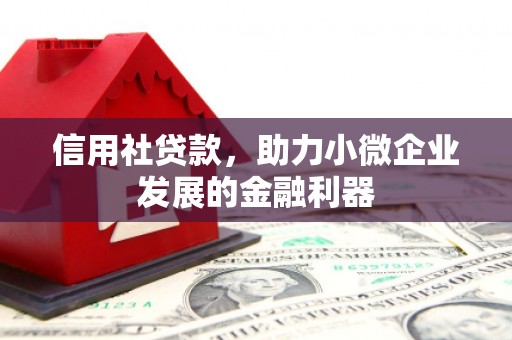天长信用社贷款，助力小微企业发展的金融利器