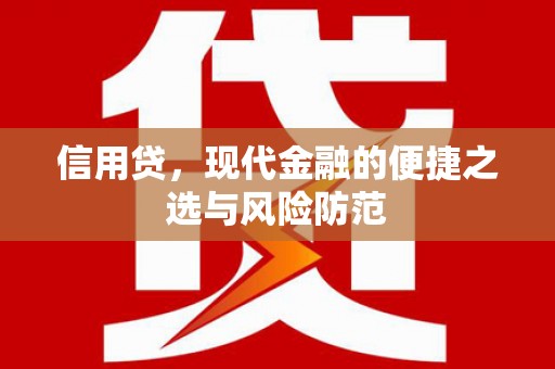 天长信用贷，现代金融的便捷之选与风险防范