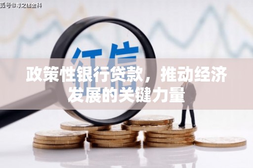 天长政策性银行贷款，推动经济发展的关键力量