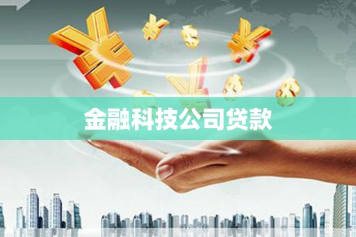 天长金融科技公司贷款