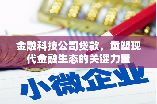 天长金融科技公司贷款，重塑现代金融生态的关键力量