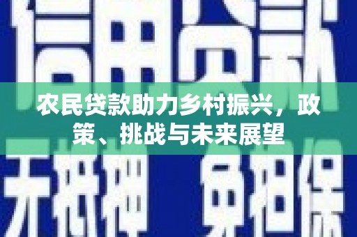 天长农民贷款助力乡村振兴，政策、挑战与未来展望
