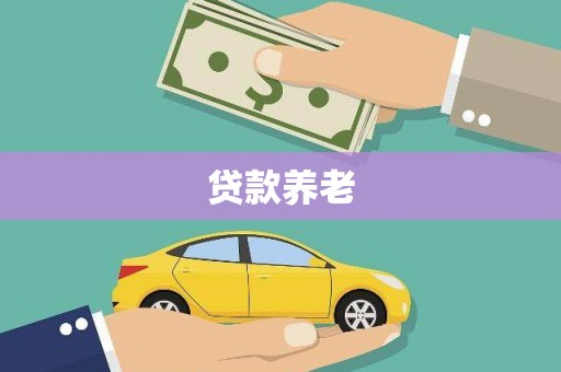 天长贷款养老