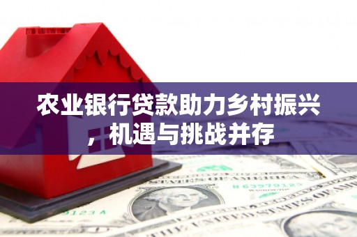 天长农业银行贷款助力乡村振兴，机遇与挑战并存