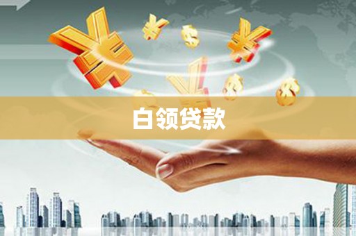 天长白领贷款