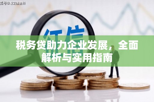 天长税务贷助力企业发展，全面解析与实用指南