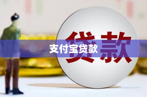 天长支付宝贷款