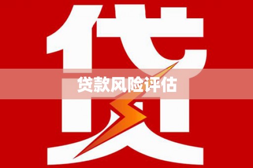天长贷款风险评估