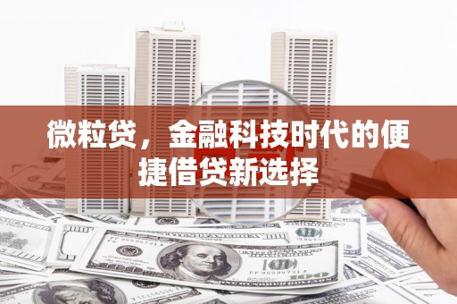 天长微粒贷，金融科技时代的便捷借贷新选择