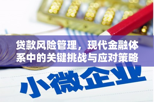 天长贷款风险管理，现代金融体系中的关键挑战与应对策略