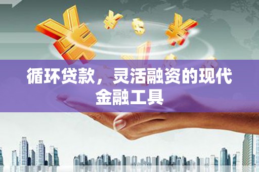 天长循环贷款，灵活融资的现代金融工具