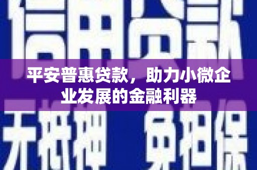 天长平安普惠贷款，助力小微企业发展的金融利器
