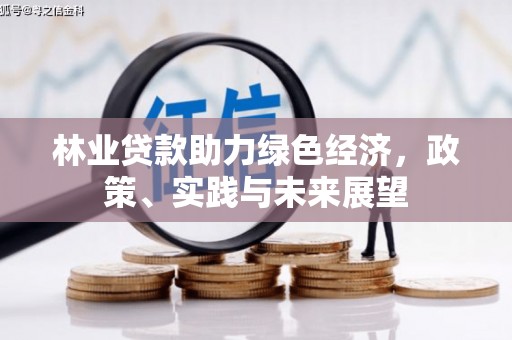 天长林业贷款助力绿色经济，政策、实践与未来展望